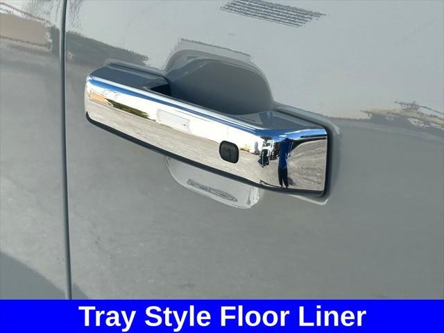 Photo of 2024 Avalanche Gray Ford F-150