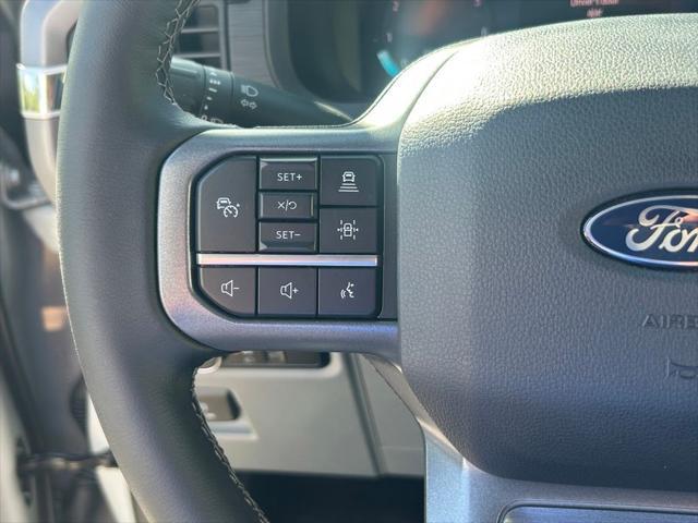 Photo of 2024 Avalanche Gray Ford F-150