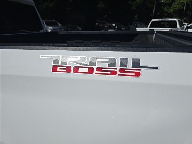 Photo of 2022 Summit White Chevrolet Silverado 1500