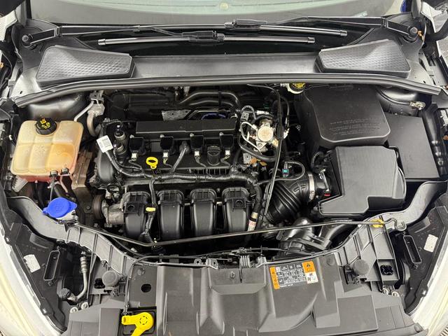 Photo of 2016 Magnetic Ford Focus
