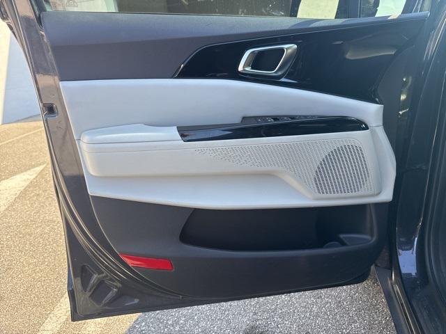 Photo of 2022 Pantera Metal Kia Carnival