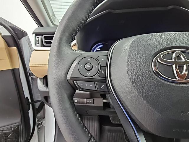 Photo of 2024 Beige Toyota RAV4 Hybrid