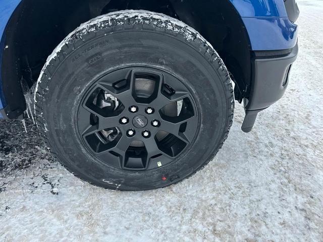 Photo of 2025 Atlas Blue Metallic Ford F-150