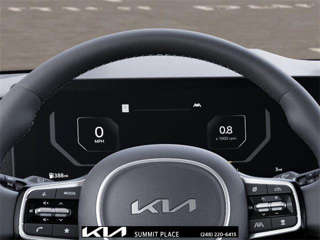 Photo of 2026 Panthera Metal Kia Carnival