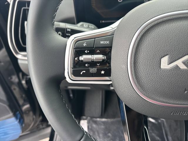 Photo of 2025 Ebony Black Kia Sorento