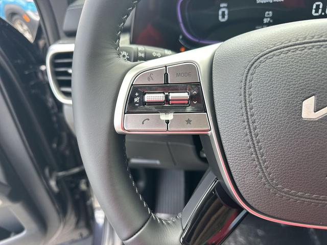 Photo of 2025 Panthera Metal Kia Telluride