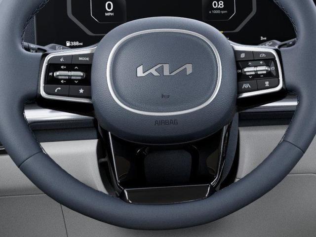 Photo of 2026 Panthera Metal Kia Carnival