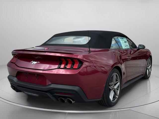 Photo of 2025 Molten Ford Mustang