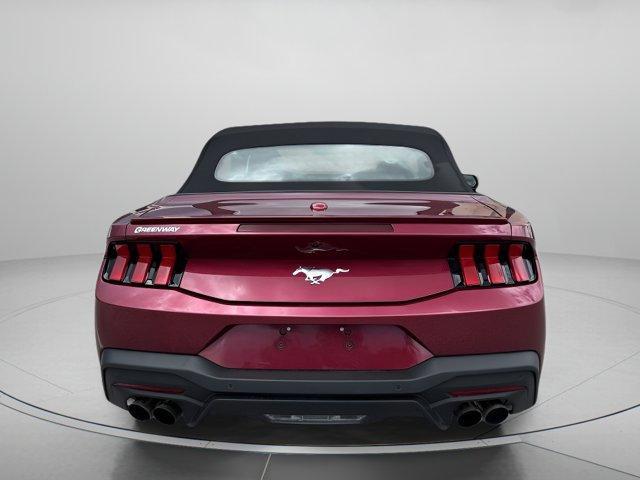 Photo of 2025 Molten Ford Mustang