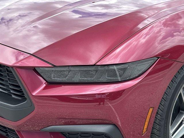 Photo of 2025 Molten Ford Mustang