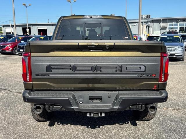 Photo of 2025 Shelter Green Ford F-150