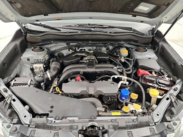 Photo of 2018 Green Subaru Forester
