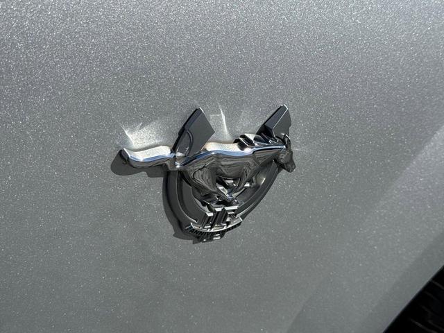 Photo of 2009 Silver Ford Mustang