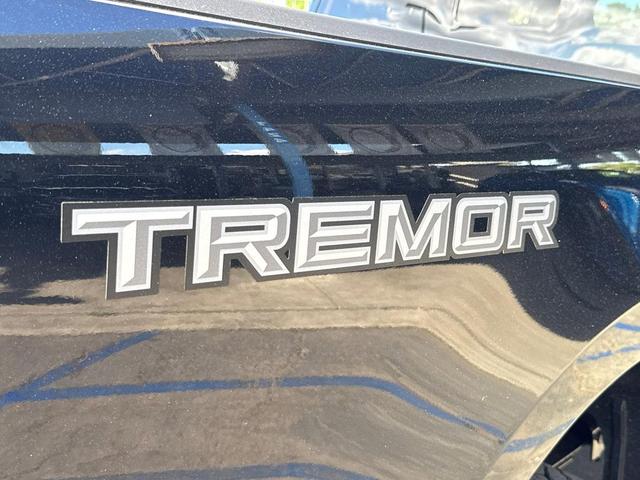 Photo of 2025 Agate Black Metallic Ford F-250