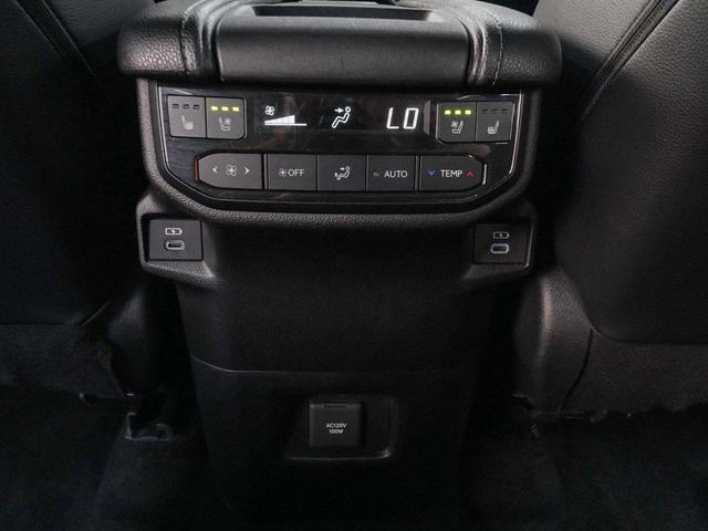 Photo of 2024 Storm Toyota Grand Highlander