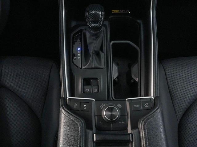Photo of 2024 Storm Toyota Grand Highlander