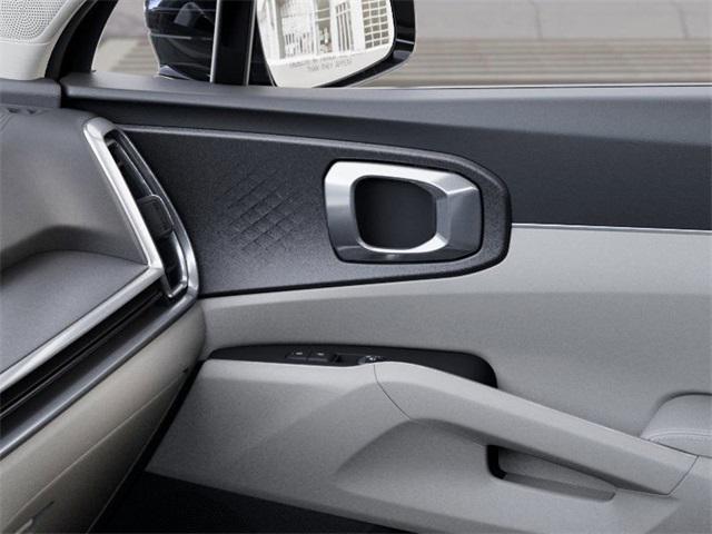 Photo of 2025 Panthera Metal Kia Sorento