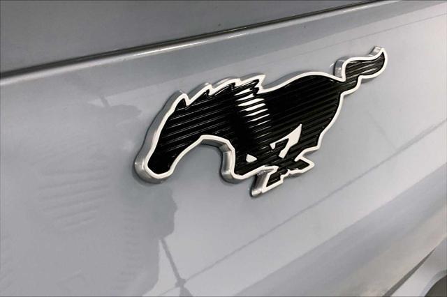 Photo of 2025 Glacier Gray Metallic TriCoat Ford Mustang Mach-E