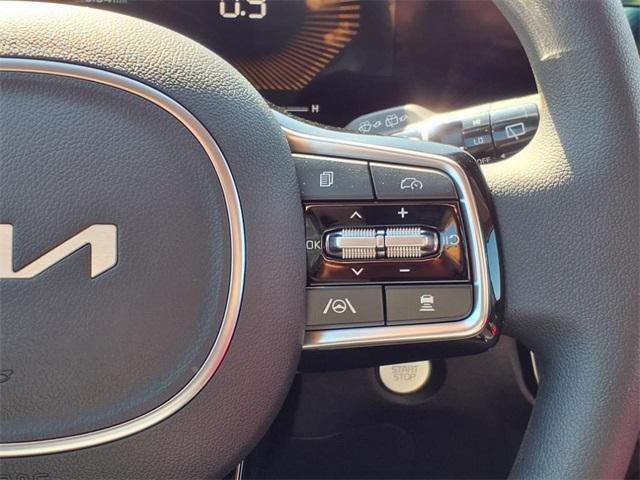 Photo of 2025 Panthera Metal Kia Sorento