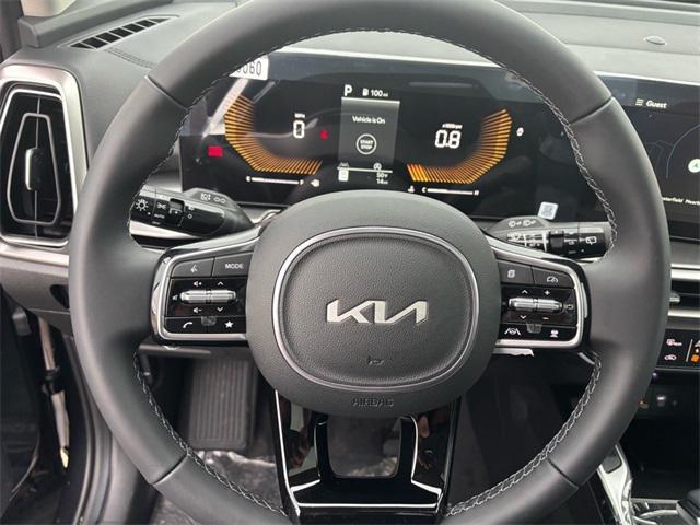 Photo of 2025 Panthera Metal Kia Sorento