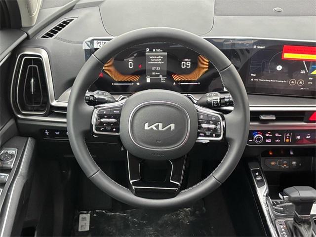 Photo of 2025 Panthera Metal Kia Sorento