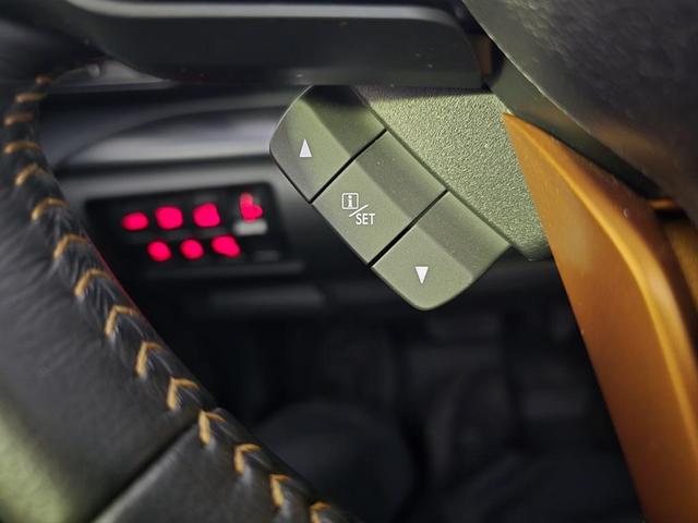 Photo of 2024 Autumn Green Metallic Subaru Forester