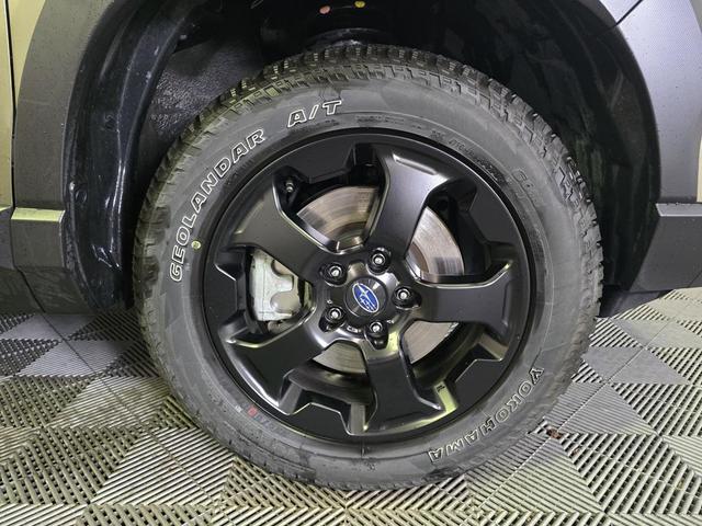 Photo of 2024 Autumn Green Metallic Subaru Forester