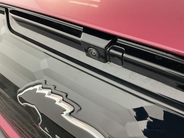 Photo of 2025 Molten Magenta Metallic Tinted Clearcoat Ford Mustang Mach-E