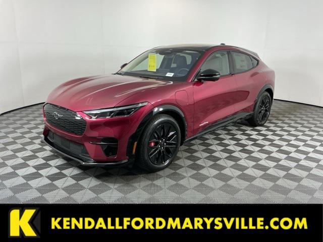 Photo of 2025 Molten Magenta Metallic Tinted Clearcoat Ford Mustang Mach-E
