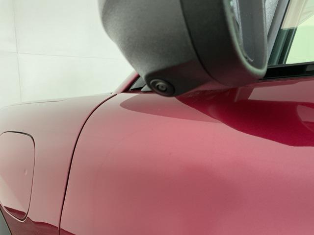 Photo of 2025 Molten Magenta Metallic Tinted Clearcoat Ford Mustang Mach-E