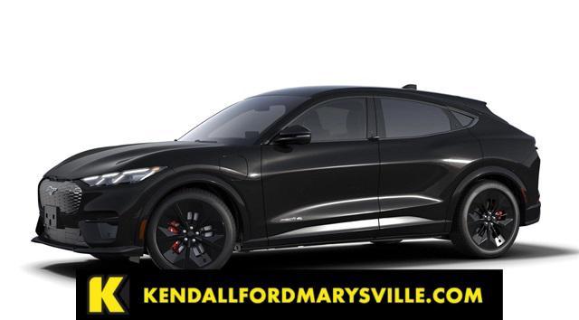 Photo of 2025 Shadow Black Ford Mustang Mach-E