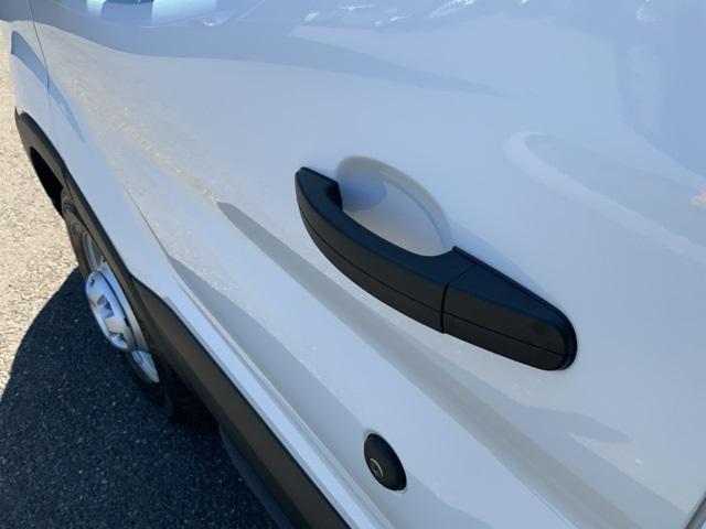 Photo of 2025 Oxford White Ford Transit-250