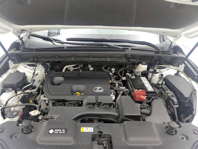 Photo of 2022 White Lexus NX 250