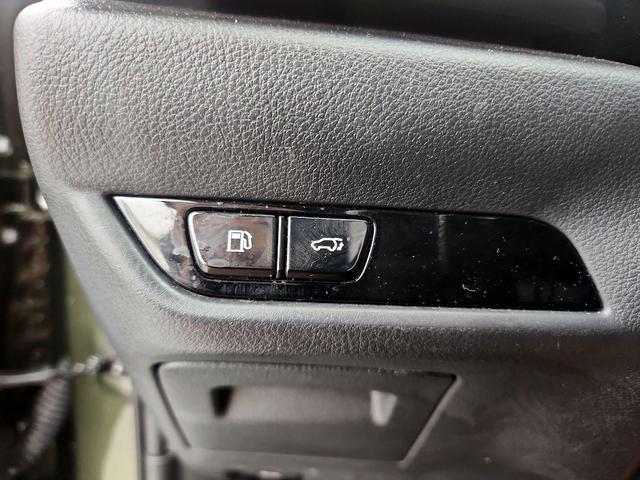 Photo of 2022 Green Lexus NX 250