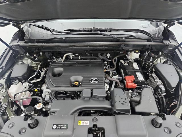 Photo of 2022 Green Lexus NX 250