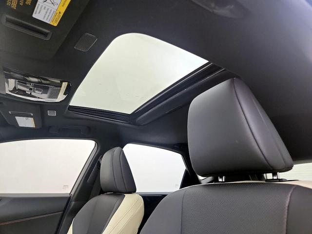 Photo of 2022 Green Lexus NX 250