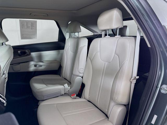 Photo of 2023 Aruba Green Kia Sorento