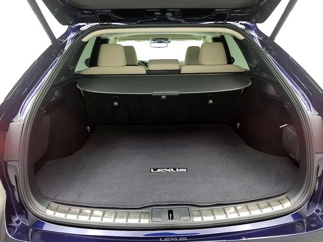 Photo of 2024 Blue Lexus RX 350