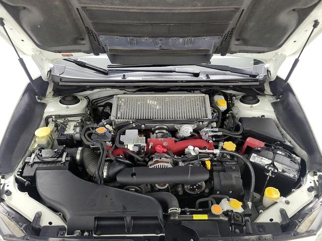 Photo of 2021 White Subaru WRX
