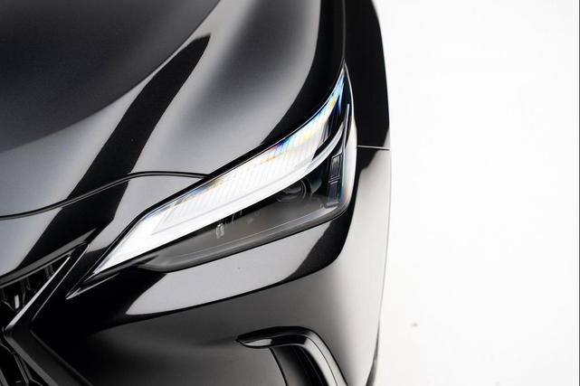 Photo of 2024 Caviar Lexus NX 250