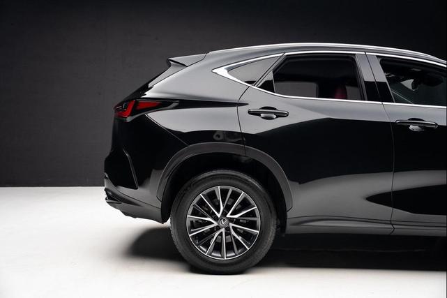 Photo of 2024 Caviar Lexus NX 250