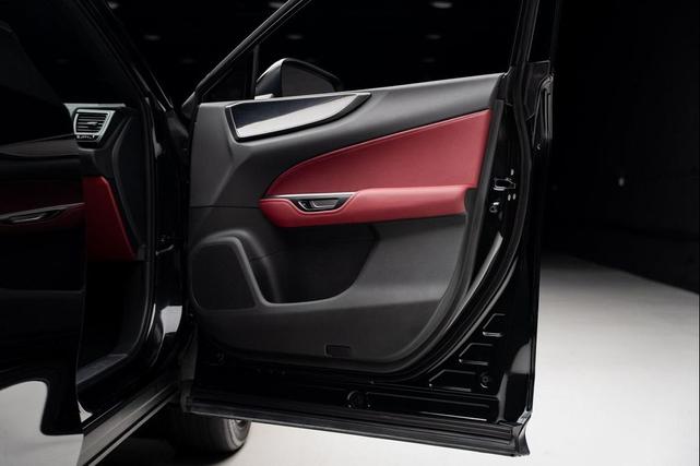 Photo of 2024 Caviar Lexus NX 250