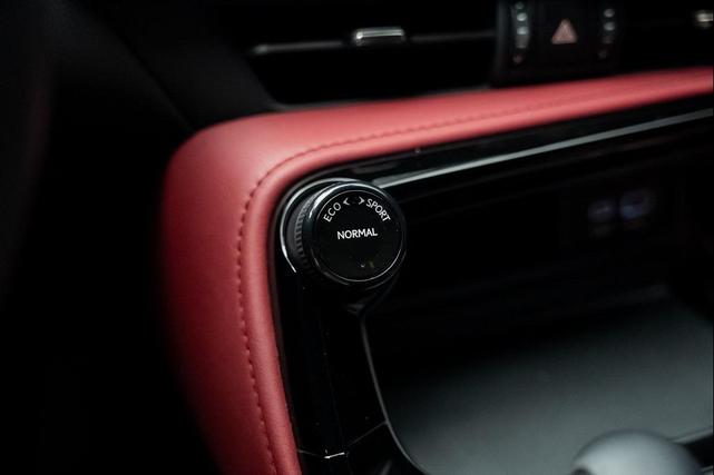 Photo of 2024 Caviar Lexus NX 250