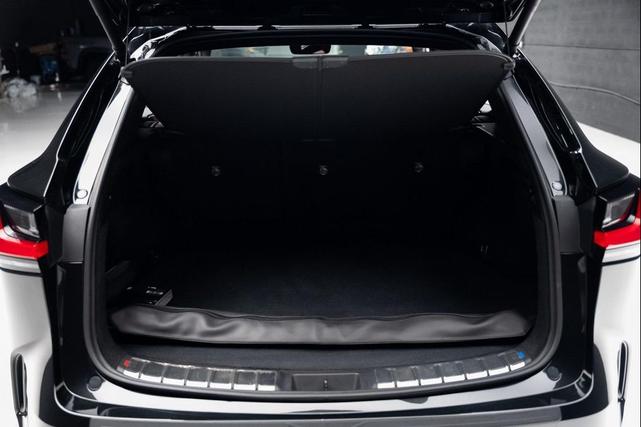 Photo of 2024 Caviar Lexus NX 250