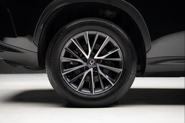 Photo of 2024 Caviar Lexus NX 250