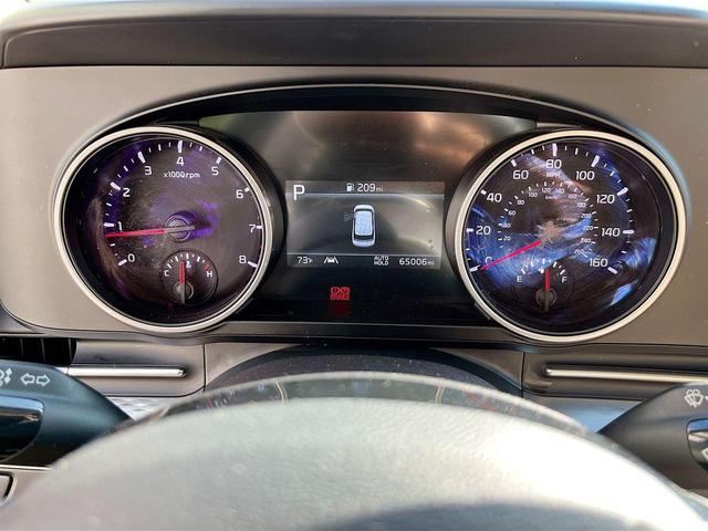 Photo of 2023 Panthera Metal Kia Carnival