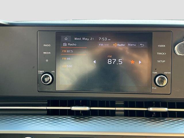 Photo of 2023 Panthera Metal Kia Carnival