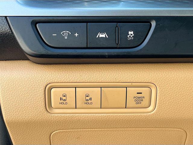 Photo of 2023 Panthera Metal Kia Carnival