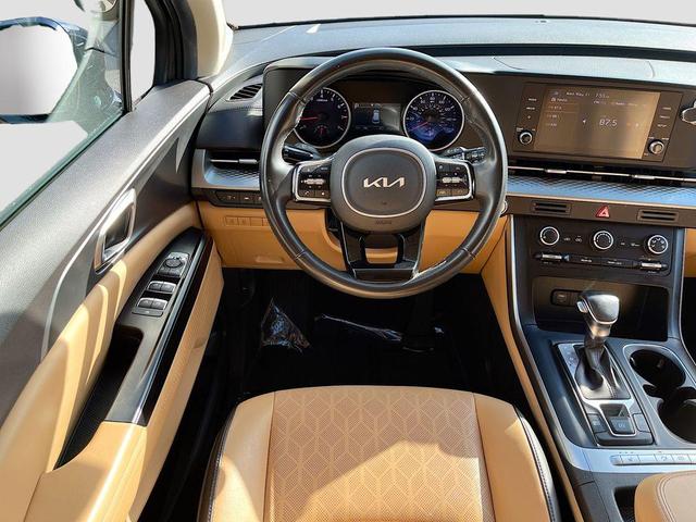 Photo of 2023 Panthera Metal Kia Carnival