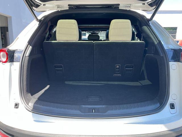 Photo of 2019 Snowflake White Pearl Mica Mazda CX-9